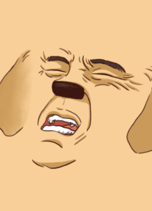 야스 테스트