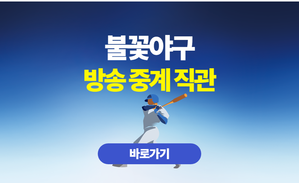 불꽃야구