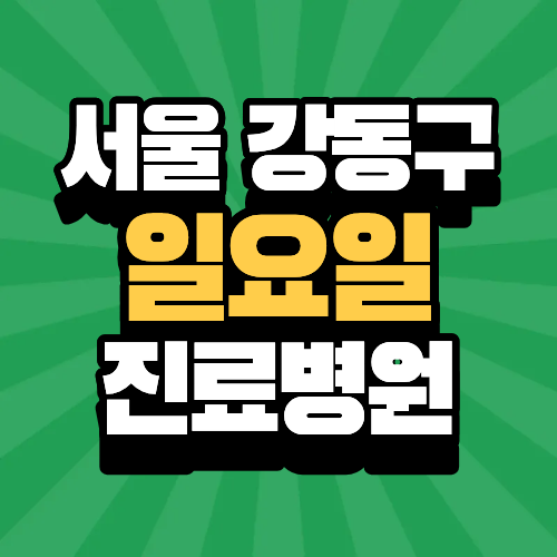 서울 강동구 일요일 진료병원