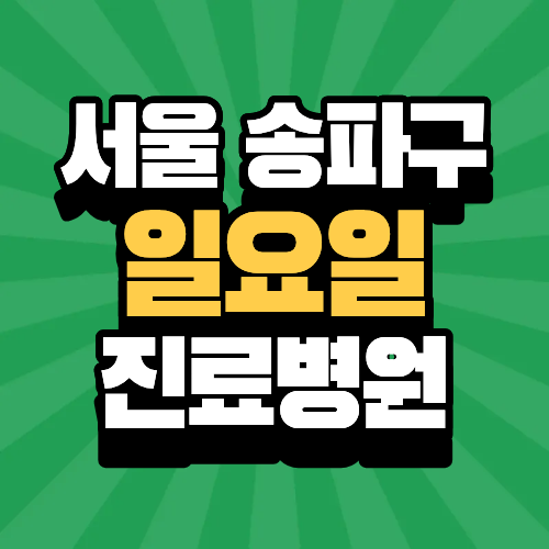 서울 송파구 일요일 진료병원